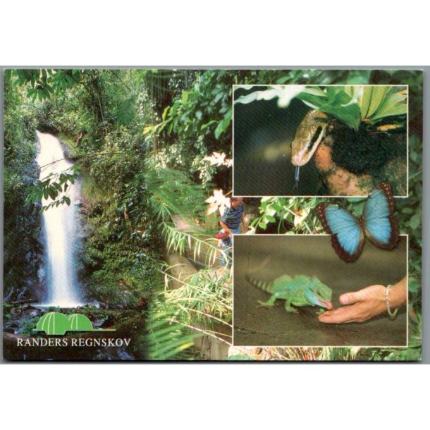 Randers Regnskov - Postkort - Ubrugt