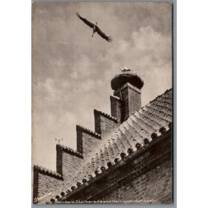 Randers - Storkerede p� Helligaandshuset -  Postkort, - Ubrugt