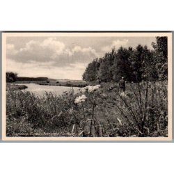 Randers - Gudenaaen ved Fladbro - Postkort - Brugt