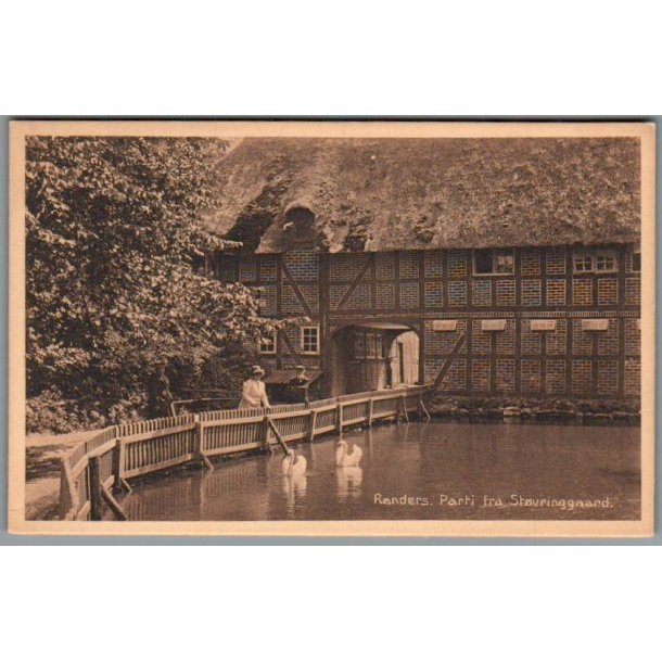 Randers - Parti fra St�vringgaard - Postkort - Ubrugt