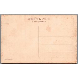 Dronningborg (Jylland) - Danske Herregaarde F&B 176 - Postkort - Ubrugt