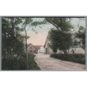 Bruusgaard - Postkort - Ubrugt