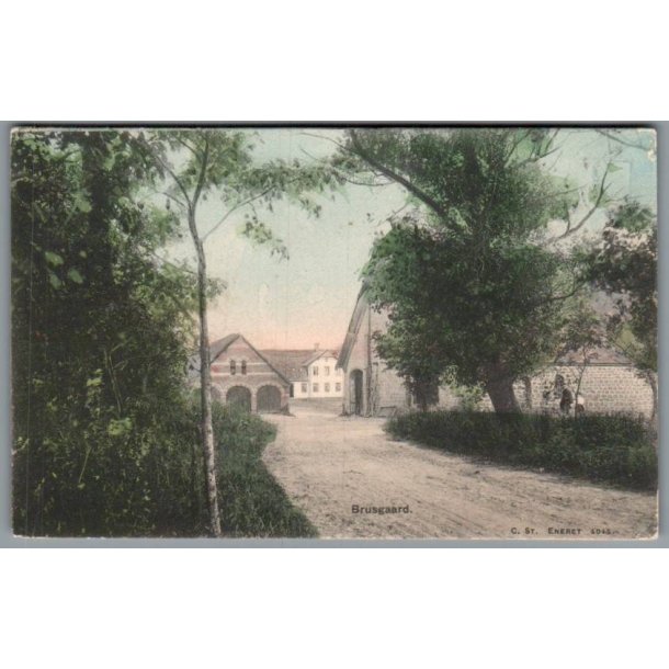 Bruusgaard - Postkort - Brugt