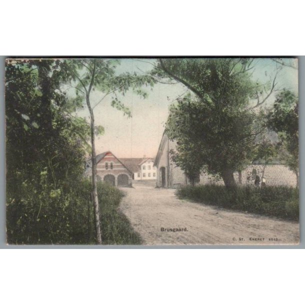 Bruusgaard - Postkort - Brugt