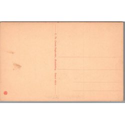 Vestergade - �r�sk�bing - Postkort - Ubrugt