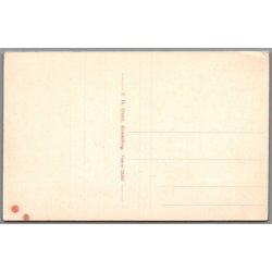 Skjoldns Fyrtaarn - r - Postkort - Ubrugt