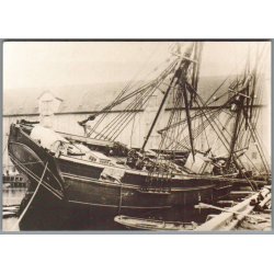 Havfisken under k�lhaling ved Den Kongelige Gr�nlandske Handels Plads - K�benhavn - Ubrugt