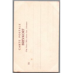 Fru Engelke Friis - Skuespiller - Postkort - Ubrugt