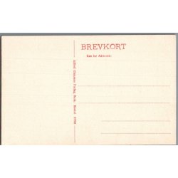 Fru Anna Guldbrandsen i "Der var engang" - Skuespiller - Postkort - Ubrugt