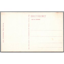 Amelie Kirkegaard og Robert Schmidt i "De smJackson &amp; Co" - Skuespiller - Postkort - Ubrugt