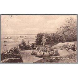 Stubbek�bing - Parti fra Anl�get - Postkort - Brugt