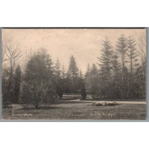 Stubbek�bing - Parti fra Anl�get - Postkort - Brugt