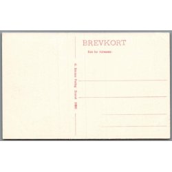 Stubbek�bing - Frey�s Hotel - Postkort - Ubrugt