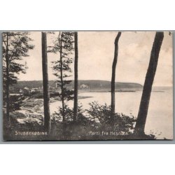 Stubbek�bing  - Parti fra Hesn�s - Postkort - Brugt