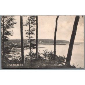 Stubbek�bing  - Parti fra Hesn�s - Postkort - Brugt