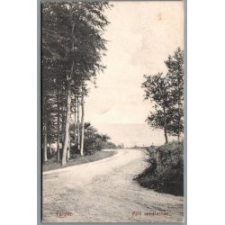 Falster - Parti fra Hesn�s - Postkort - Brugt