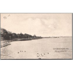 Stubbek�bing - Strandparti - Postkort - Ubrugt