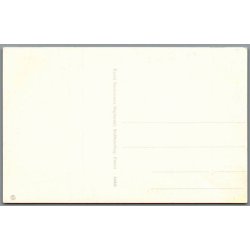 Stubbek�bing - Parti fra det nye Anl�g- Postkort - Ubrugt