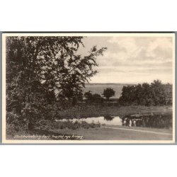 Stubbek�bing - Parti fra det nye Anl�g- Postkort - Ubrugt