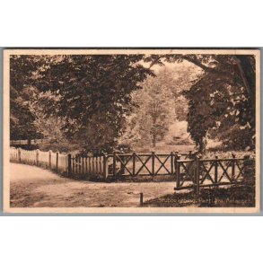 Stubbek�bing - Parti fra Anl�get - Postkort - Ubrugt