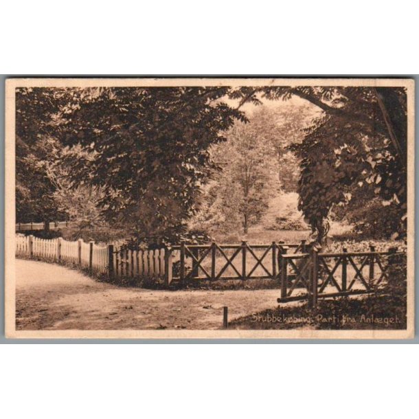 Stubbek�bing - Parti fra Anl�get - Postkort - Ubrugt
