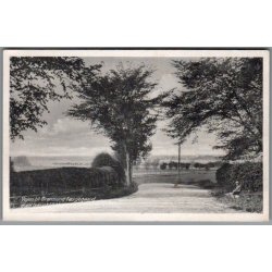 Vejen til Gr�nsund F�rgegaard - Postkort - Ubrugt