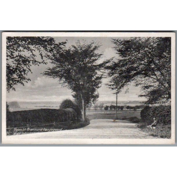 Vejen til Gr�nsund F�rgegaard - Postkort - Ubrugt