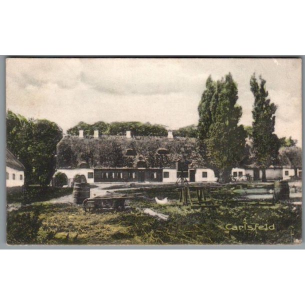 Carlsfeld - Postkort - Brugt