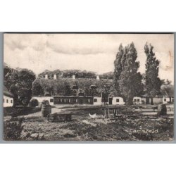 Carlsfeld - Postkort - Brugt