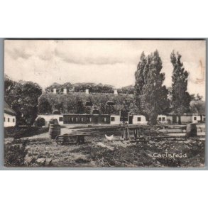Carlsfeld - Postkort - Brugt