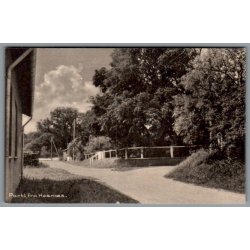Parti fra Hesn�s - Postkort - Brugt