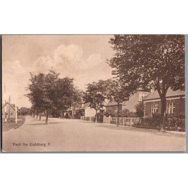 Parti fra Guldborg - Postkort - Brugt