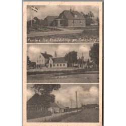 Partier fra Eskildstrup pr. Pederstrup ST. - Postkort - Brugt