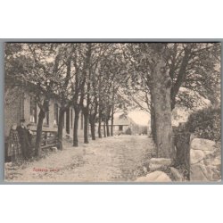 Gedser Skole - Julem�rke 1905 p� bagside - Postkort  - Brugt