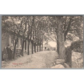 Gedser Skole - Julem�rke 1905 p� bagside - Postkort  - Brugt