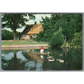 Gedseby Strand - Postkort  - Brugt