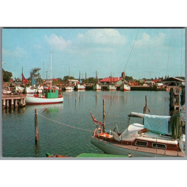 Gedser - Havneparti - Postkort  - Brugt