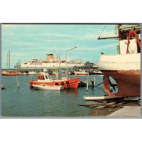 Havnen Gedser - Postkort  - Ubrugt