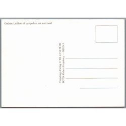 Gedser - Luftfoto af sydspids. - Postkort  - Ubrugt