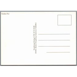 Gedser Fyr - Postkort  - Ubrugt