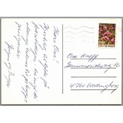 Gedseby M�lle - Gedser - Postkort - Brugt