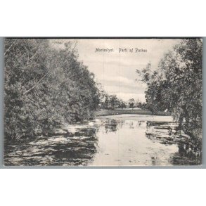  Marielyst - Parti af Parken - Postkort - Ubrugt