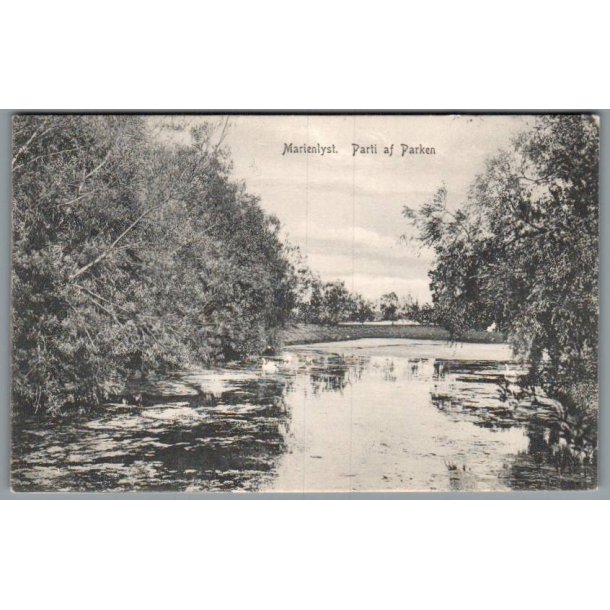  Marielyst - Parti af Parken - Postkort - Ubrugt