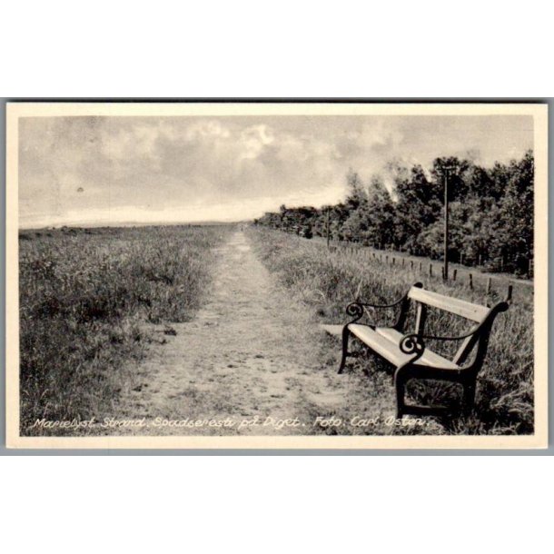 Marielyst Strand - Spadseresti - Postkort - Ubrugt
