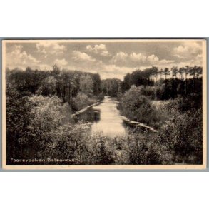 Faarevasken - B�t�skoven - Marielyst - Postkort - Brugt