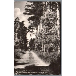 Parti fra B�t�skoven - Marielyst - Postkort - Brugt