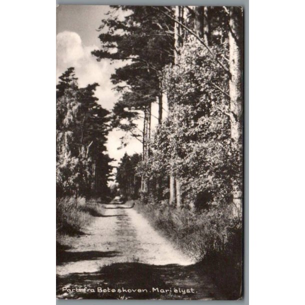 Parti fra B�t�skoven - Marielyst - Postkort - Brugt