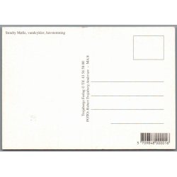 Stovby M�lle - Marienlyst - Postkort - Ubrugt