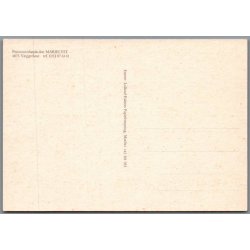 Pensionisth�jskolen -  Marielyst - Postkort - Ubrugt