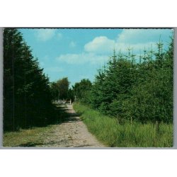 Marielyst - B�t�skoven - Postkort - Ubrugt